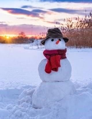 Snowman Real, Snowman Photos, Snowmen Pictures, Winter Christmas Scenes, Snowman Images, Snow Sculptures, Snow Art, Snow Fun, Build A Snowman