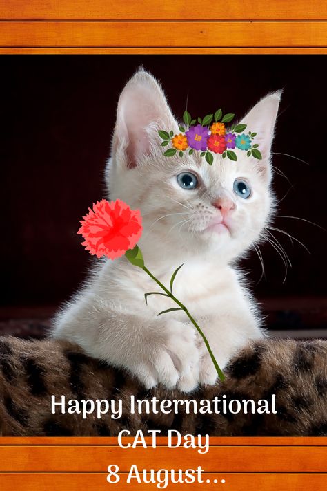 International Cat Day 8 August, International Cat Day Posts, Happy International Cat Day, Animal Calendar, World Cat Day, International Dog Day, National Cat Day, Cartoon Cats, International Cat Day