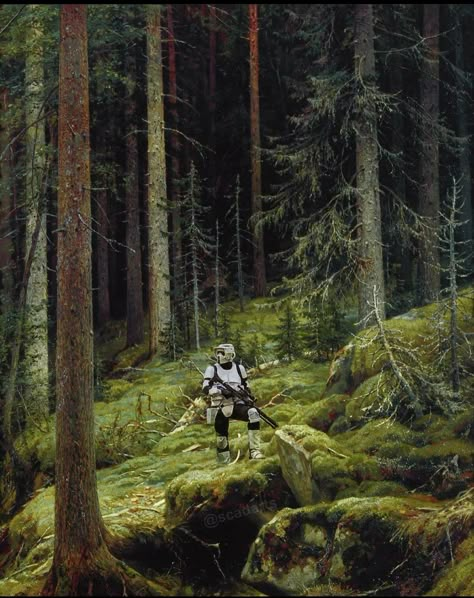 Star Wars Wallpaper Stormtrooper, Star Wars Endor Forest, Star Wars Wallpaper Iphone Aesthetic, Endor Star Wars Aesthetic, Star Wars Aesthetic Wallpaper Iphone, Stormtrooper Aesthetic, Stormtrooper Wallpapers, Star Wars Forest, Star Wars Wallpaper Aesthetic