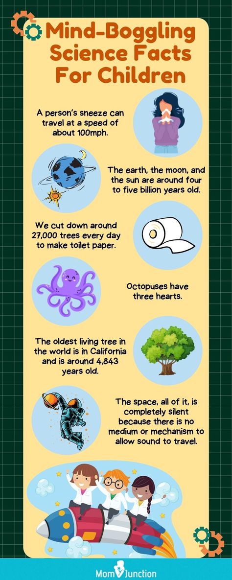 Facts About Science, English Language Activities, General Knowledge For Kids, Life Science Activities, Facts Of Life, School Art Activities, Fun Facts For Kids, Science Fact, Science Reading