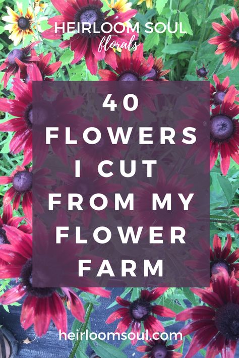 Flower Farm Plan, Flower Farm Ideas, Flower Farm Names, Cut Flower Farm Layout, Starting A Flower Farm, Best Cut Flowers To Grow, Flower Farm Layout, Cut And Come Again Flowers, Flower Farm Business