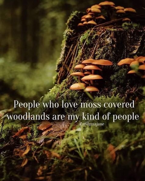 There’s something magical about people who love moss and woodlands. Their appreciation for the small, green wonders and the serenity of the forest makes them my favorite kind of people. 🌿🌳 #naturelovers #woodlandwanderers #mossmagic #forestfriends #woodlandwonders #pagan #witch Mushroom Sayings Quotes, Projections On People, Grounding Pictures, Quotes About Mushrooms, Plant Witchcraft, Nature Magic Aesthetic, Destiny Core, Harper Wilde, Green Magic Homes