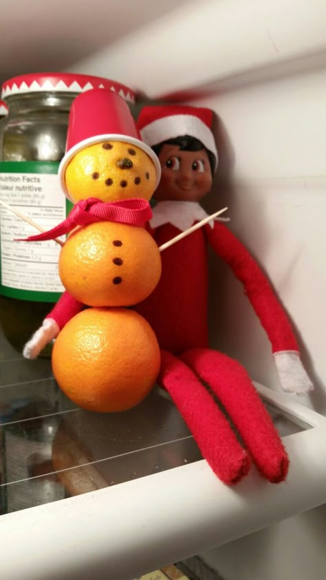 Elf On The Shelf Fall Ideas, Elf On The Shelf Ideas Oranges, Fridge Elf On The Shelf, Elf On The Shelf Feel Better, Elf On The Shelf Oranges, Elf On The Shelf In The Fridge, Elf On The Shelf Ideas Fridge, Elf In Fridge, Sick Elf On The Shelf Ideas