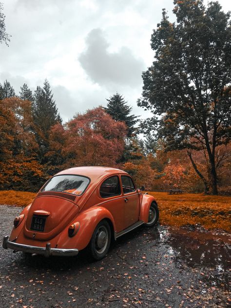 Fall Athestic, Autumn Aesthetic Orange, Fall Truck Aesthetic, Retro Fall Aesthetic, Fall Car Wallpaper, Fall Asethic, Vintage Fall Aesthetic, Fall Aethestic, Vintage Autumn