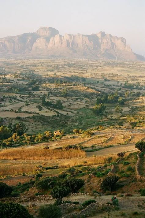 Ethiopian Mountains, Ethiopia Nature, African Mountains, African Continent, Addis Ababa, Out Of Africa, Fantasy Places, African Countries, Nature Reserve