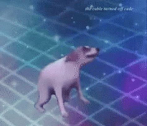 Peepo Emotes, Dancing Dog Gif, Barbie Dog, Excited Dog, Meme Gifs, Dance Gif, Emotes Twitch, Happy Gif, Good Gif