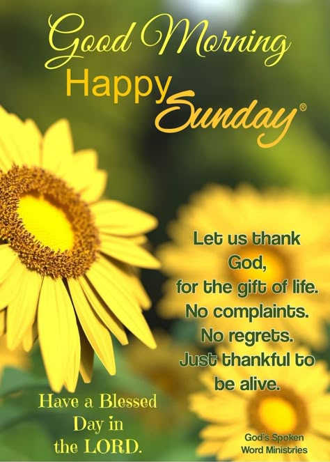 Good Morning Sunday Blessings, Happy Sunday Pictures, Sunday Morning Prayer, Blessed Sunday Morning, Happy Sunday Morning, Have A Blessed Sunday, Sunday Morning Quotes, Good Sunday Morning, Happy Wednesday Quotes