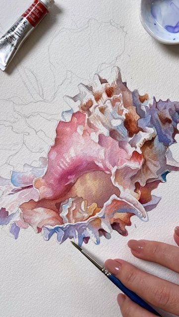 Shell Watercolor, Gcse Art Sketchbook, Inspiration Painting, Arte Sketchbook, Seashell Art, Gcse Art, Art Inspiration Painting, Watercolor Drawing, Painting Art Projects