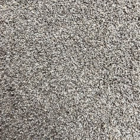 STAINMASTER PetProtect Comet Taupe Orbit Gray 42-oz sq yard Nylon Textured Indoor Carpet in the Carpet department at Lowes.com 2024 Carpet Trends For Home, Bedroom Carpet Ideas Wall To Wall, Carpet Swatches, Basement Carpet Ideas, Speckled Carpet, Greige Carpet, Best Carpet For Bedrooms, Grey Walls And Carpet, Modern Carpet Bedroom