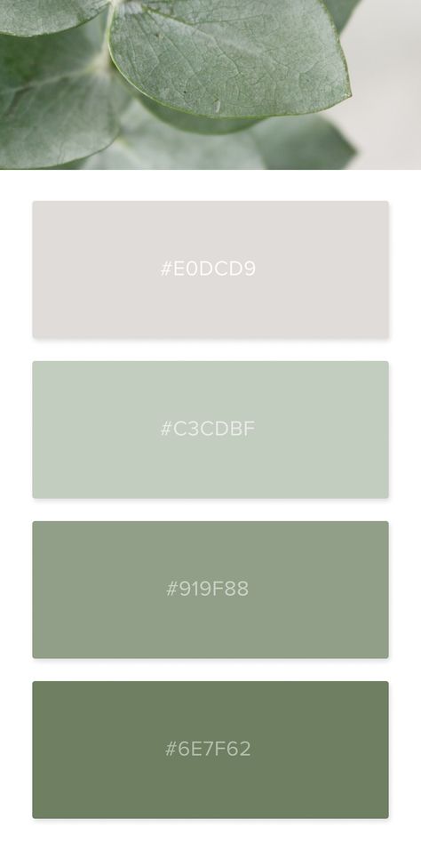 Color Palette inspired by photography #color #schemes #palette #combinations #forhome #for outfits #colors #colour #green #greens #nature #natural #pastel Pretty Green Color Colour Palettes, Light Green Color Pallete, Pastel Color Palette Green, Color Swatches Green, Sage Palette Colour Schemes, Green Aesthetic Colour Palette, Light Sage Green Color Palette, Colors That Go With Light Green, Green Palette Colour