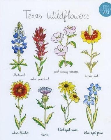 Bluebonnet Tattoo, Texas Traditions, Home Spa Room, Texas Wildflowers, Texas Tattoos, Wildflower Tattoo, Indian Paintbrush, Texas Art, Spa Room