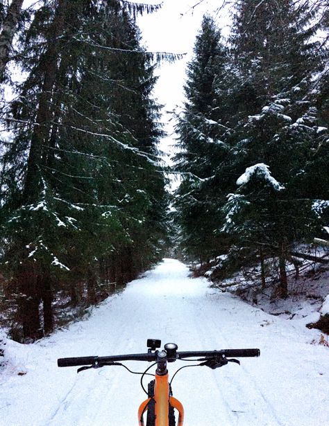 Road Bike Photography, Sweden Winter, Biking Aesthetic, Winter Biking, Creative Photoshoots, Charlie Charlie, Road Biking, Cycling Pictures, Cycling Adventures