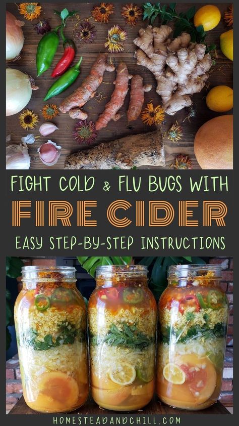 Fire Cider Recipe, Fire Cider, Cider Recipe, How To Make Fire, Herbal Recipes, Cold Remedies, Healing Food, Homemade Remedies, Natural Health Remedies