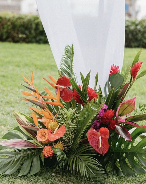 Tropical Aisle Flowers, Tropical Wedding Dance Floor, Tropical Flower Decoration, Tropical Bouquet Floral Arrangements, Pelamin Rustic, Tropical Flower Arrangements Wedding, Colorful Tropical Wedding, Tropical Wedding Ceremony, Bird Of Paradise Wedding