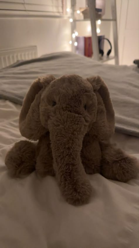 ellie Jelly Cat Elephant, Jellycat Sea Creatures, Cute Jelly Cats, Jelly Cat Teddy, Jelly Cats Stuffed Animals, Jelly Cats Aesthetic, Aesthetic Stuffed Animals, Jellycat Elephant, Jelly Cat Aesthetic