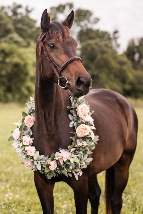 Horse Farm Wedding, Horse At Wedding, Horse Wreath Photoshoot, Wedding Horse Pictures, Horse Garland, Horses With Flowers, Horseback Riding Aesthetic, Wedding Horses, Wedding With Horses