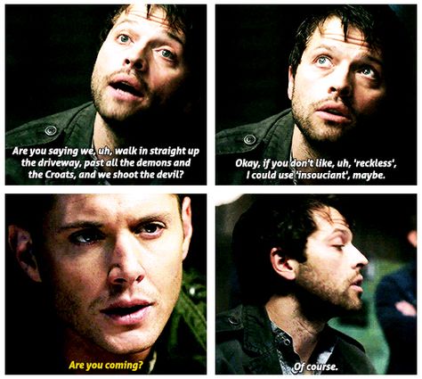 "Of course." Endverse Castiel, Endverse Destiel, Endverse Cas, Spn Quotes, Castiel Angel, Spn Memes, Castiel Supernatural, Supernatural Pictures, Trail Of Tears