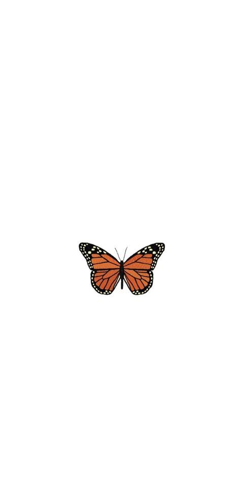 Effdeesea ♡ | Butterfly Wallpaper Iphone, Iphone Wallpaper Butterfly Icon Instagram, Iphone Wallpaper Vsco, Look Wallpaper, Iconic Wallpaper, Butterfly Wallpaper Iphone, Disney Phone Wallpaper, Iphone Wallpaper Tumblr Aesthetic, Backgrounds Phone Wallpapers, Cute Disney Wallpaper