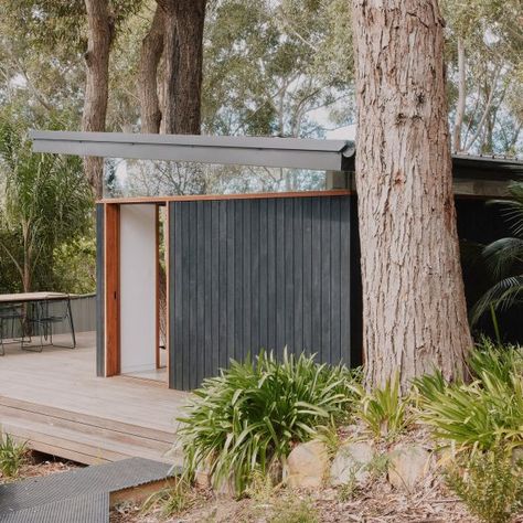 Blackened wood | Dezeen Pnw Architecture, Small Garden Office, Monopitch Roof, Simple Architecture, Compact Garden, Contemporary Garden Rooms, Cow Dog, Sauna House, Desert House