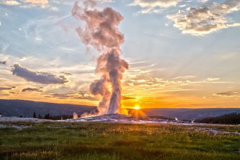 Adventure-of-a-lifetime drive from Yellowstone to Glacier National Park Yellowstone National Park Geyser, Yellowstone National Park Old Faithful, Wyoming Whiskey, Yellowstone Geysers, Old Faithful Yellowstone, Old Faithful Geyser, Usa Summer, Yellowstone Trip, Wildlife Day