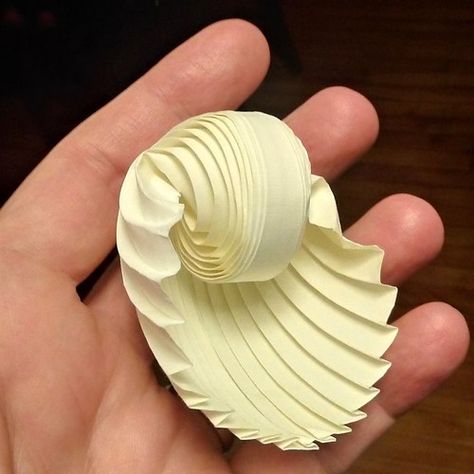 Shell | Not a scallop by a long chalk, but there's a mollusk… | Flickr Paper Shells, Diy Cardboard Clam Shell, Seashell Architecture Concept, Shell Structure Model, Shell Cross Section, Clam Shell Sculpture, Bionic Design, Shell Sculpture, Shell Structure