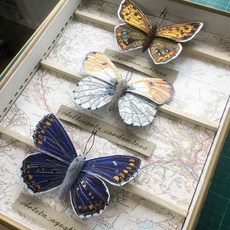 Heather Everitt, Yorkshire, New Home, Heathers, Insects, Butterflies, Textiles, Embroidery, On Instagram