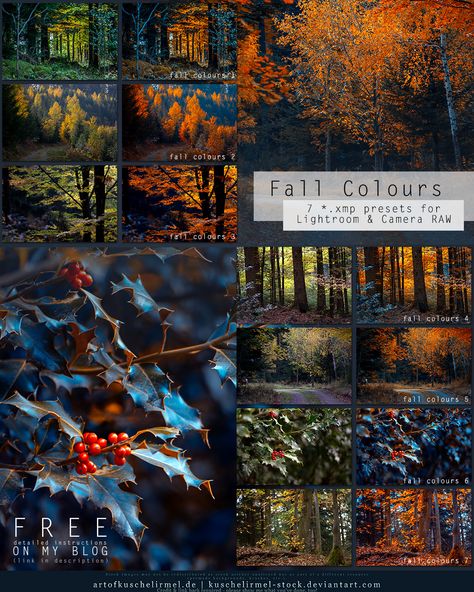 Family Pics Fall, Matte Lightroom Preset, Editing In Photoshop, Lightroom Presets Aesthetic, Hdr Lightroom, Aesthetic Lightroom Presets, Moody Lightroom Presets, Best Free Lightroom Presets, Blur Image Background