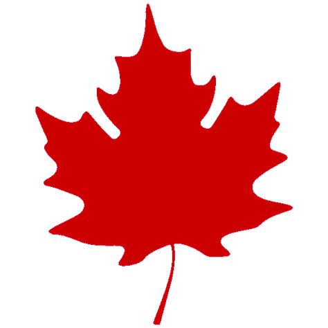 Happy Canada Day, Canadian Flag, Cricut Free, Canada Day, Wix Website, Canada Flag, After Effects, Country Flags, Adobe Illustrator