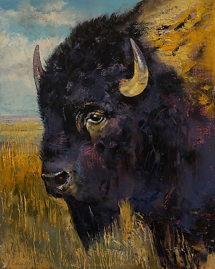 Buffalo Pictures, Bison Photo, Buffalo Painting, Buffalo Animal, Bison Art, Buffalo Art, Texas Artist, Cow Art, Animals Artwork