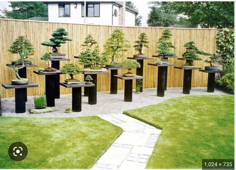 Bonsai Garden Ideas, Bonsai Bench, Bonsai Stand, Bonsai Display, Bonsai Nursery, Bonsai Tree Types, Bonsai Tree Care, Garden Bonsai, Zen Garden Design