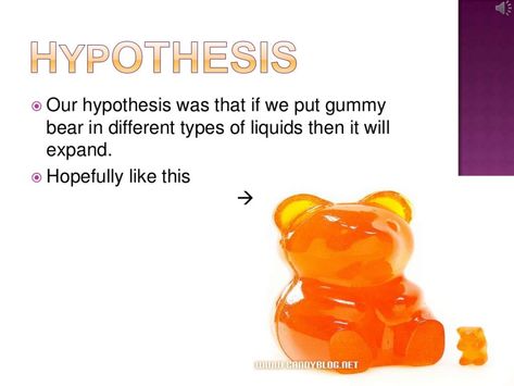 Why Do Gummy Bears Grow In Water? - Vending Business Machine Pro Service Gummy Bear Science Project, Gummy Bear Osmosis, Osmosis Experiment, Gummy Bear Experiment, Sour Gummy Bears, Gummy Worms, Fair Projects, Science Project, Science Fair Projects