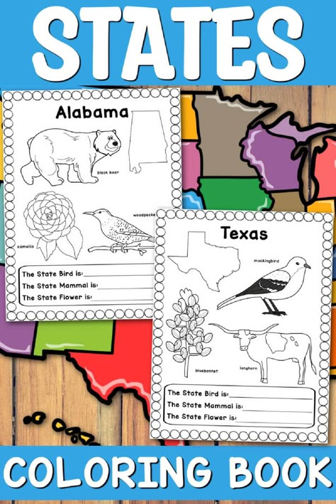 State Activities For Preschool, Texas Coloring Pages, 50 States Activities, States Worksheets, Educational Coloring Pages, History Homeschool, Nifty 50, Us Geography, Preschool Prep