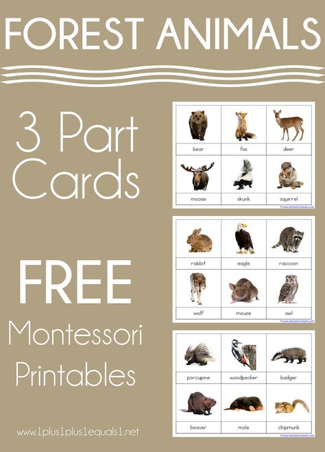 Forest Animals Montessori Printables – FREE 3 Part Cards - 1+1+1=1 Free Montessori Printables, Montessori Printables Free, Tub Activities, Aba Materials, Forest Animals Preschool, Learning Folder, Animal Homes, Montessori Activities Preschool, Body Science