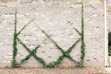 Wire Vine Trellis, Rose Climbers, French Landscaping, Jasmine Trellis, Espalier Trees, Backyard Trellis, Garden Trellis Designs, Building A Garden, Trellis Wall