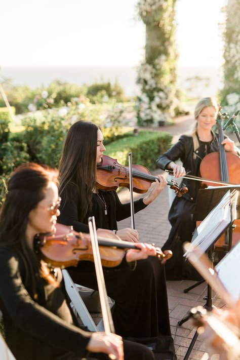 Violin At Wedding Ceremony, Orchestra At Wedding, Wedding String Quartet, String Quartet Aesthetic, Wedding Quartet, Wedding Violinist, Wedding Orchestra, String Quartet Wedding, Violin Wedding