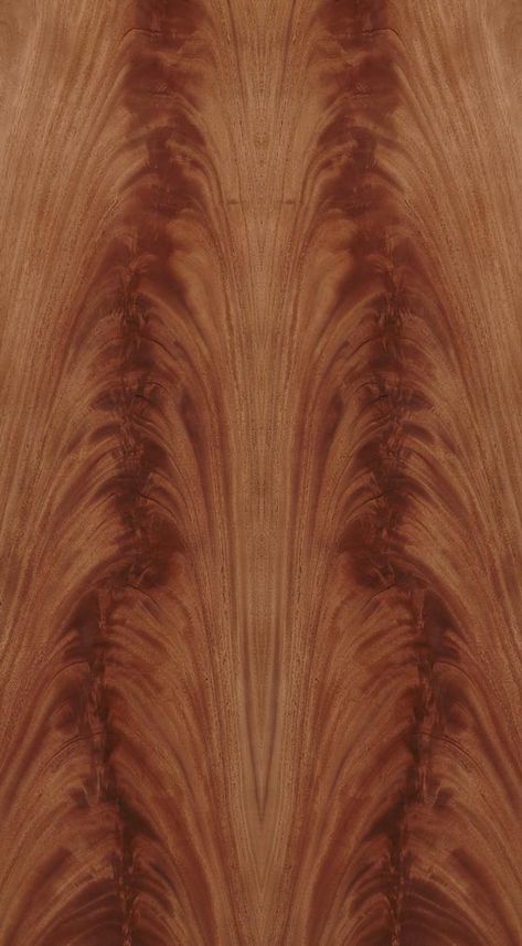 Mahogany Wood Texture, Wardrobe Diy, Oak Wood Texture, Bar Lounge Design, Veneer Pattern, Wood Samples, Veneer Texture, Decorative Cross, Wood Things