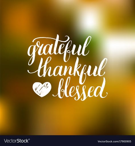 Blessed And Thankful Quotes, Blessed Quotes Thankful, Grateful Quotes, Barbie Quotes, Thankful Quotes, Bear Quote, Tuesday Quotes, Thank You Quotes, Love Anniversary Quotes