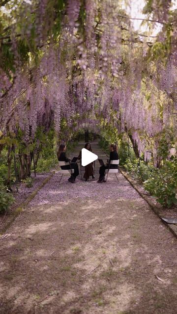 The Lane on Instagram: "Living out our policy that team meetings should never be from bland boardrooms & corporate spaces… 

Production and shot list planning in the dreamy @ilborro gardens, for our Destination Wedding & Travel Guide to Tuscany launching soon. (see more in our stories & highlights) 

Video @luafilmmaker" Shot List, Wedding Travel, The Lane, Launching Soon, Story Highlights, Meet The Team, Tuscany, Travel Guide, Destination Wedding