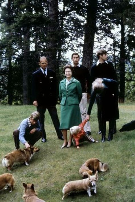 Corgi Queen, Rainha Elizabeth Ii, English Royal Family, Royal Family England, British Royal Families, Elisabeth Ii, Prince Phillip, Princess Elizabeth, Royal Queen