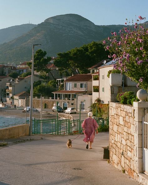 some first frames of bol 🌸🎞️ #35mm 📷 canon ae-1 🎞 kodak portra 160 Portra 160, Canon Ae 1, 120 Film, Kodak Portra, Film Photography, Photography Inspiration, Canon, Film, Photography