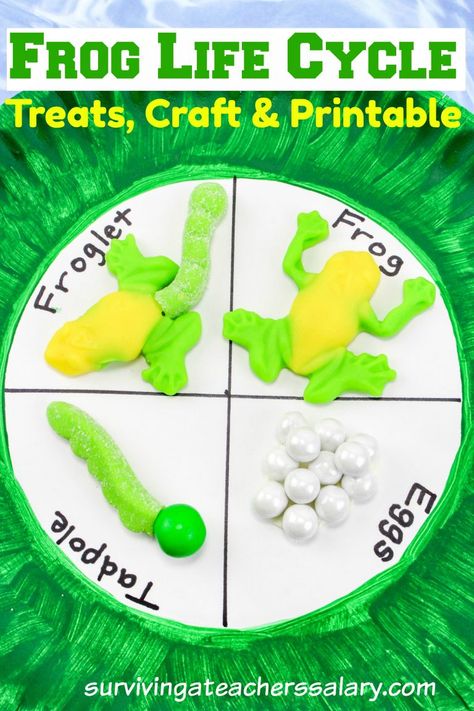 frog life cycle snacks and craft Kids Crafts January, Frog Life Cycle Craft, Life Cycle Of A Frog, Oviparous Animals, Craft Activity For Kids, Frog Activities, Frog Life Cycle, Life Cycle Craft, Lifecycle Of A Frog