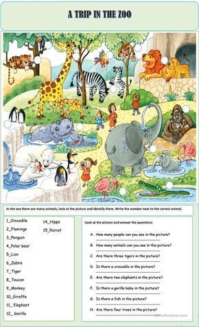 Sequencing Stories, Names Of Animals, Picture Comprehension, Reading Comprehension Kindergarten, Picture Composition, Fluency Practice, English Exercises, Learning English For Kids, English Grammar Worksheets