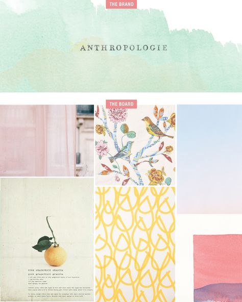 Anthropologie Branding, Backwards Design, Rose Branding, Birds Background, Nursery Color, Brand Aesthetics, Colour Palate, Design Grid, Office Color