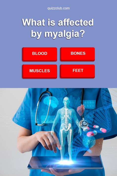 Can You Answer These Basic Medical Questions? #Quiz Medical Questions And Answers, Medical Questions, Blood And Bone, Quiz Questions And Answers, Online Quiz, Bones And Muscles, Trivia Quiz, Question And Answer, Medical