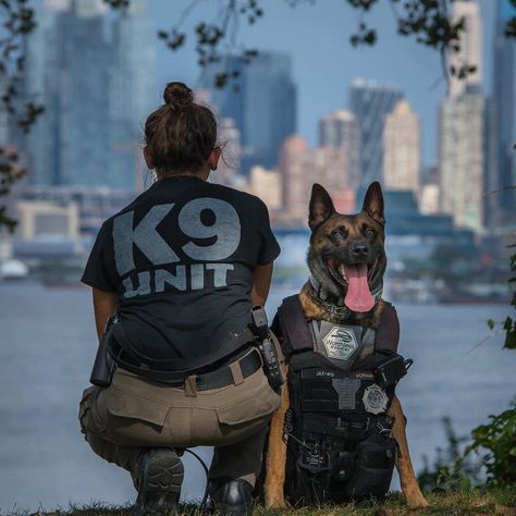 Police Officer Appreciation Gifts, Cop Dog, K9 Police Dogs, K9 Police, Fun Police, K9 Officer, Police Canine, Dog Soldiers, Dog Hero