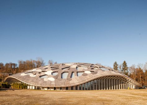 Elephant Habitat, Elephant House, Zoo Architecture, Elephant Park, Shell Structure, Elephant Sanctuary, Wood Building, Architecture Building Design, Amazing Buildings