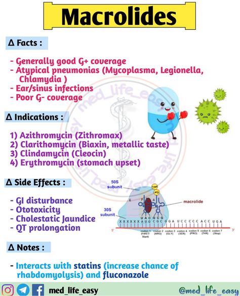 Antibiotic Mnemonic, Antibiotics Pharmacology Mnemonics, Ems Pharmacology, Pharmacology Nursing Flashcards, Antibiotics Pharmacology, Pharmacology Mnemonics, Nclex Practice Questions, Nursing Flashcards, Physician Assistant School