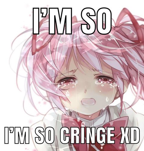 I Luv My Computer Friends, Cringe Core, Anime Cringe, Girl Memes, Hashtag Relatable, Gothic Anime, Puella Magi Madoka Magica, Anime Meme, Im Going Crazy