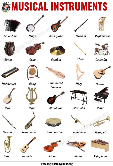 Musical Instruments: List of 30 Popular Types of Instruments in English - English Study Online Types Of Instruments, Music Vocabulary, Homemade Musical Instruments, Diy Musical Instruments, General Knowledge Facts, Learn English Vocabulary, English Vocabulary Words Learning, Learn English Words, English Study