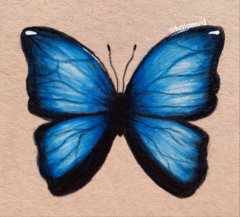 #butterfly #blue #mydrawing #my_drawing Blue Butterfly Drawing, Butterfly Sketch, Blue Drawings, Butterfly Blue, Simple Butterfly, Butterfly Drawing, Easy Diy Art, Colorful Butterflies, Blue Butterfly